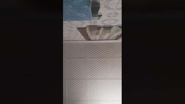 Morenikofumeta  03-08-2022